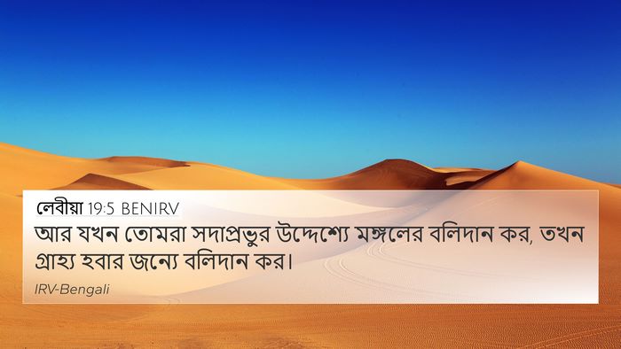 লেবীয়া 19:5 BENIRV 4K Wallpaper - আর যখন তোমরা - 4K Wallpaper Bible Verse