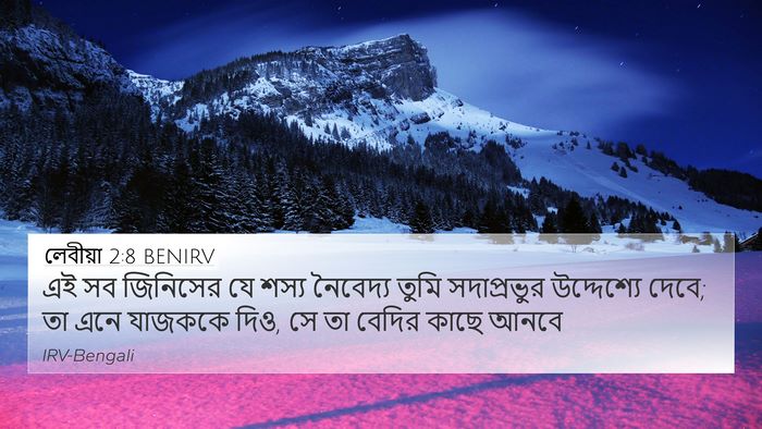 লেবীয়া 2:8 BENIRV 4K Wallpaper - এই সব জিনিসের যে - 4K Wallpaper Bible Verse