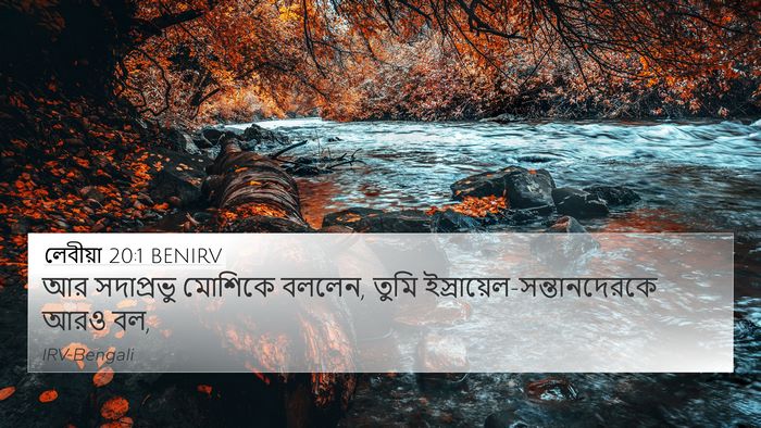 লেবীয়া 20:1 BENIRV 4K Wallpaper - আর সদাপ্রভু - 4K Wallpaper Bible Verse