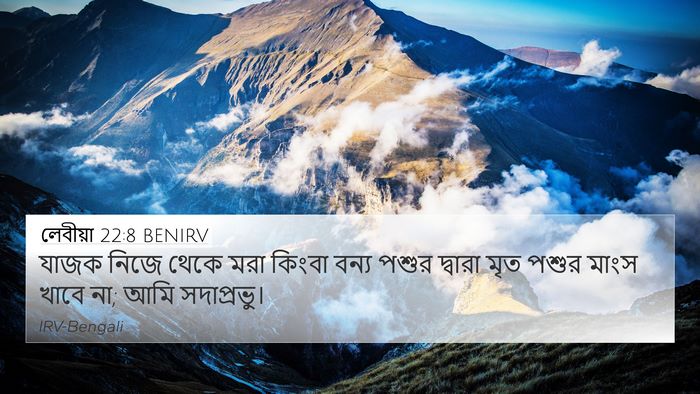 লেবীয়া 22:8 BENIRV Bible Verse Image