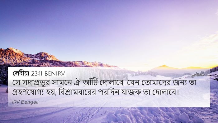 লেবীয়া 23:11 BENIRV 4K Wallpaper - সে সদাপ্রভুর - 4K Wallpaper Bible Verse