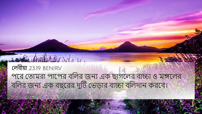 লেবীয়া 23:19 BENIRV 4K Wallpaper - পরে তোমরা পাপের - 4K Wallpaper Bible Verse