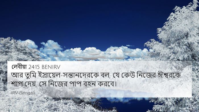 লেবীয়া 24:15 BENIRV Bible Verse Image