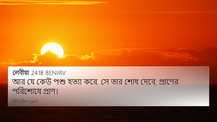 লেবীয়া 24:18 BENIRV 4K Wallpaper - আর যে কেউ পশু হত্যা - 4K Wallpaper Bible Verse
