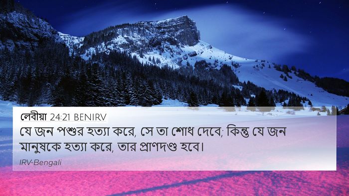 লেবীয়া 24:21 BENIRV Bible Verse Image