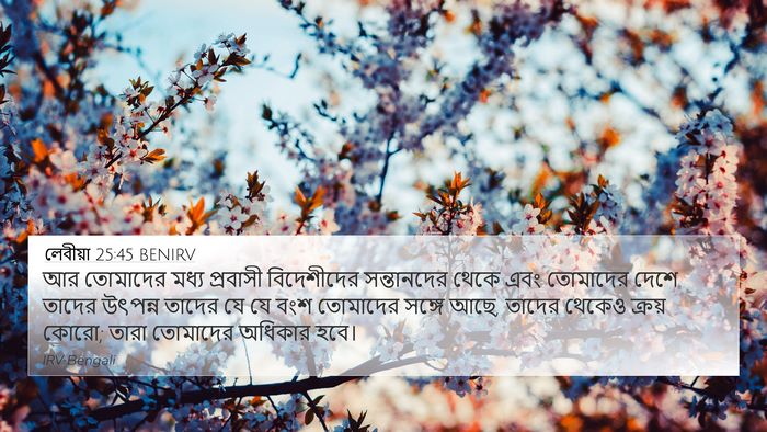 লেবীয়া 25:45 BENIRV 4K Wallpaper - আর তোমাদের মধ্য - 4K Wallpaper Bible Verse