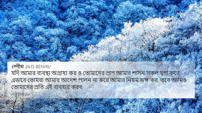 লেবীয়া 26:15 BENIRV Bible Verse Image
