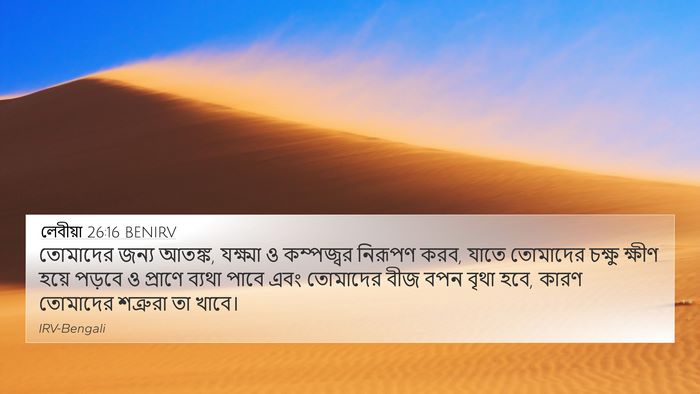 লেবীয়া 26:16 BENIRV Bible Verse Image