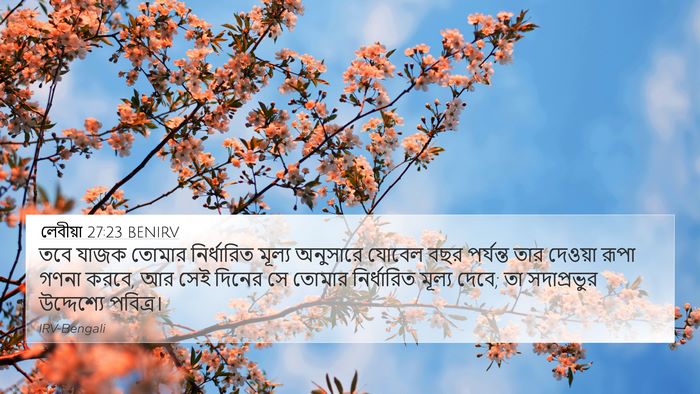 লেবীয়া 27:23 BENIRV 4K Wallpaper - তবে যাজক তোমার - 4K Wallpaper Bible Verse