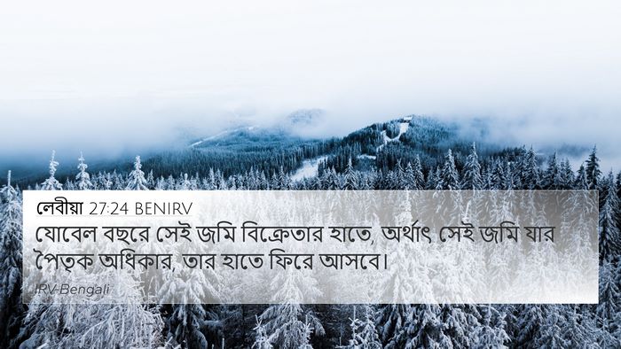 লেবীয়া 27:24 BENIRV 4K Wallpaper - যোবেল বছরে সেই জমি - 4K Wallpaper Bible Verse