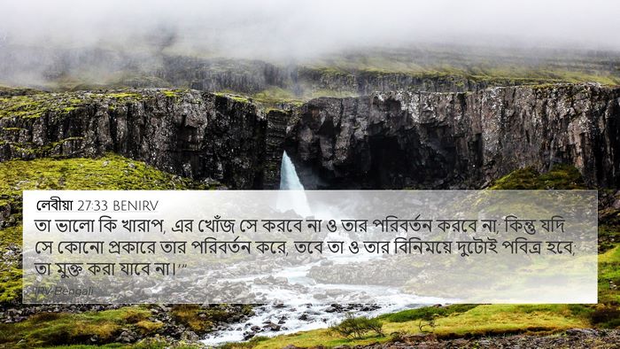 লেবীয়া 27:33 BENIRV 4K Wallpaper - তা ভালো কি খারাপ, - 4K Wallpaper Bible Verse