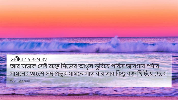 লেবীয়া 4:6 BENIRV Bible Verse Image