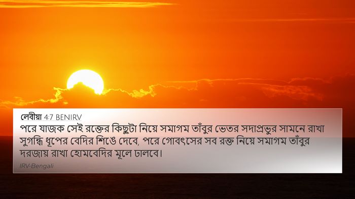 লেবীয়া 4:7 BENIRV 4K Wallpaper - পরে যাজক সেই - 4K Wallpaper Bible Verse