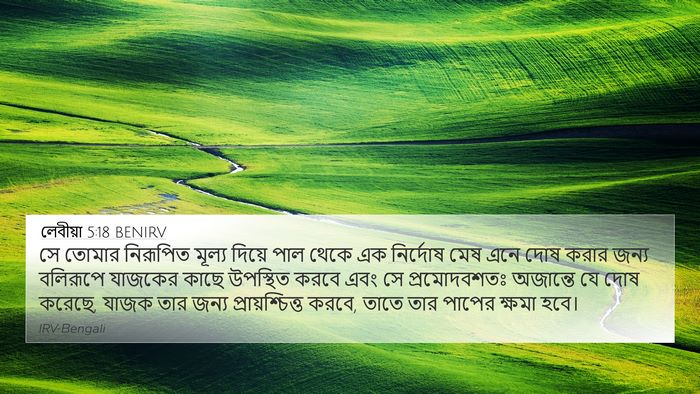 লেবীয়া 5:18 BENIRV Bible Verse Image