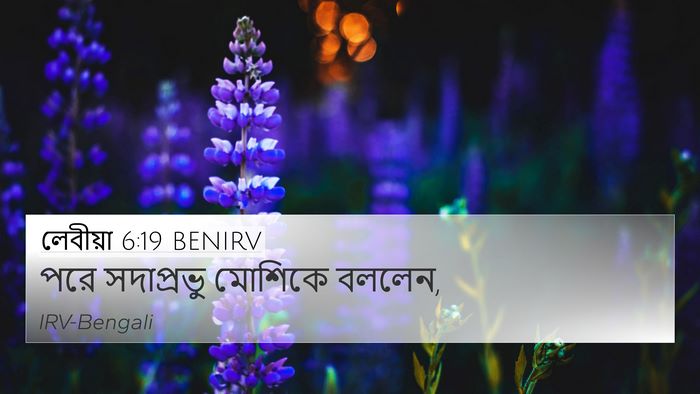 লেবীয়া 6:19 BENIRV 4K Wallpaper - পরে সদাপ্রভু - 4K Wallpaper Bible Verse