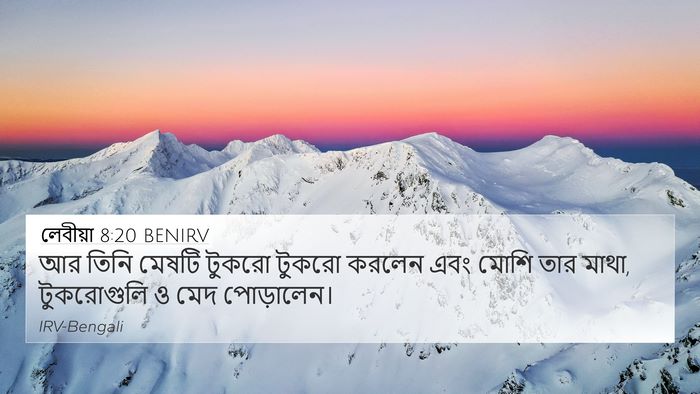 লেবীয়া 8:20 BENIRV 4K Wallpaper - আর তিনি মেষটি - 4K Wallpaper Bible Verse