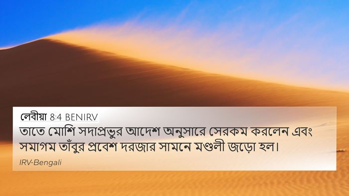 লেবীয়া 8:4 BENIRV 4K Wallpaper - তাতে মোশি - 4K Wallpaper Bible Verse