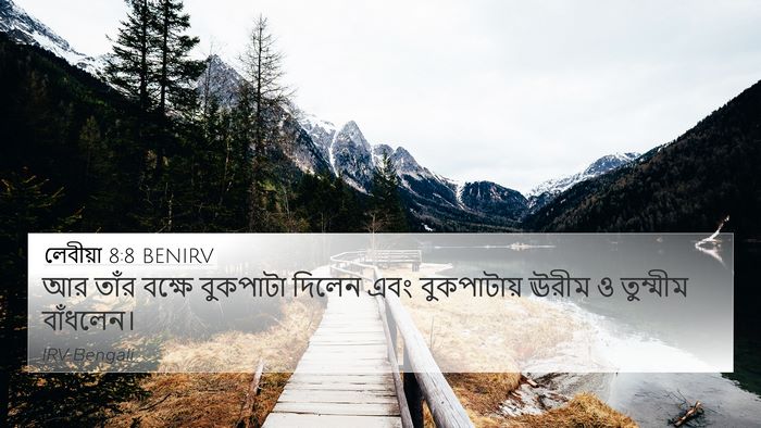 লেবীয়া 8:8 BENIRV 4K Wallpaper - আর তাঁর বক্ষে - 4K Wallpaper Bible Verse