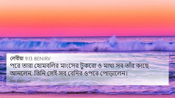 লেবীয়া 9:13 BENIRV Bible Verse Image