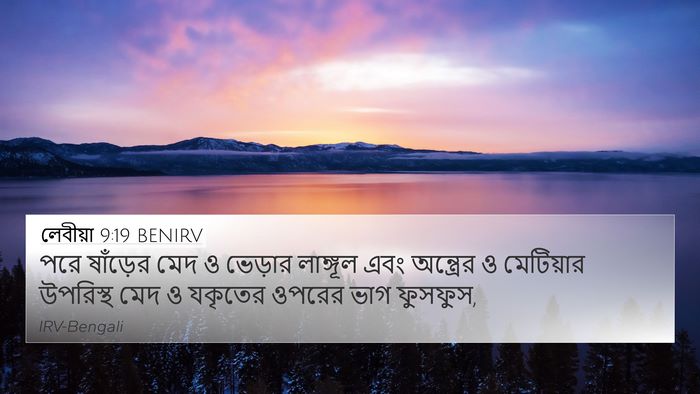 লেবীয়া 9:19 BENIRV Bible Verse Image