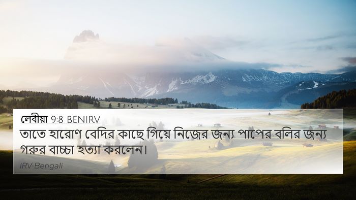লেবীয়া 9:8 BENIRV Bible Verse Image