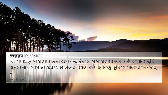 হবক্কুক 1:2 BENIRV 4K Wallpaper - “হে সদাপ্রভু, - 4K Wallpaper Bible Verse