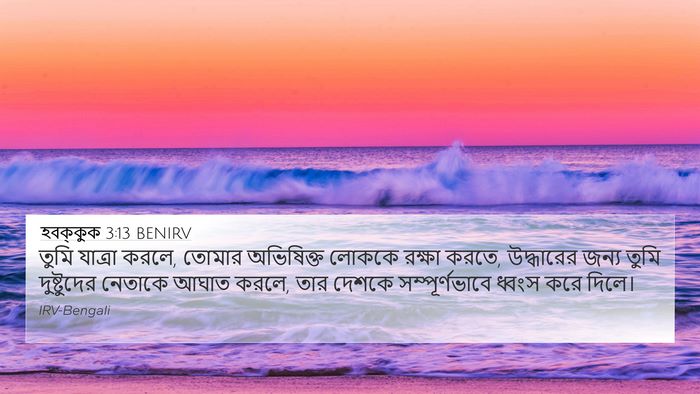 হবক্কুক 3:13 BENIRV Bible Verse Image