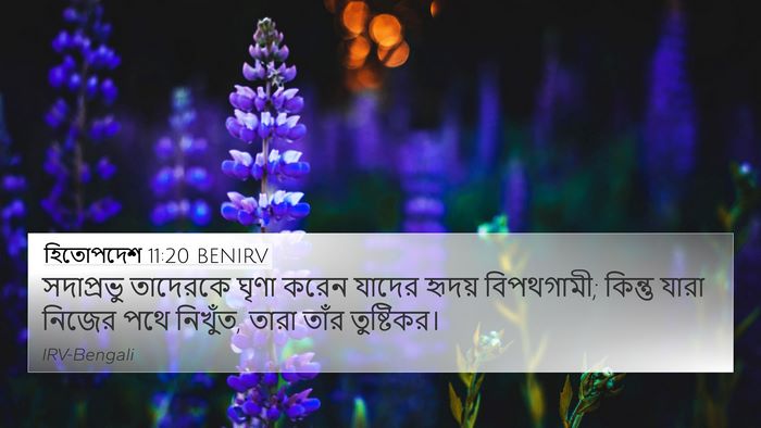 হিতোপদেশ 11:20 BENIRV Bible Verse Image