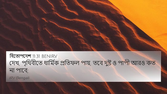 হিতোপদেশ 11:31 BENIRV Bible Verse Image