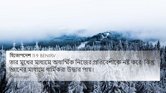 হিতোপদেশ 11:9 BENIRV Bible Verse Image