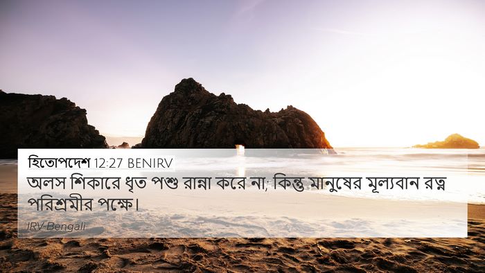 হিতোপদেশ 12:27 BENIRV Bible Verse Image