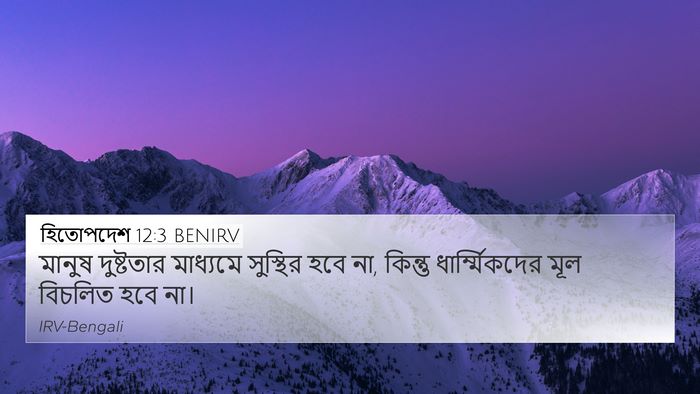 হিতোপদেশ 12:3 BENIRV 4K Wallpaper - মানুষ দুষ্টতার - 4K Wallpaper Bible Verse