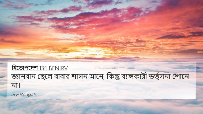 হিতোপদেশ 13:1 BENIRV Bible Verse Image