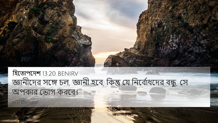 হিতোপদেশ 13:20 BENIRV Bible Verse Image
