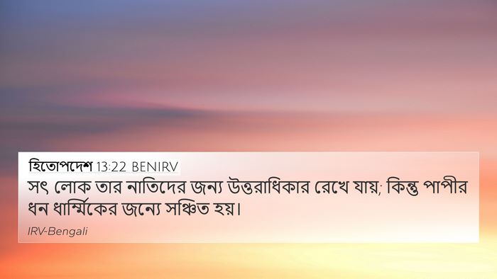 হিতোপদেশ 13:22 BENIRV Bible Verse Image