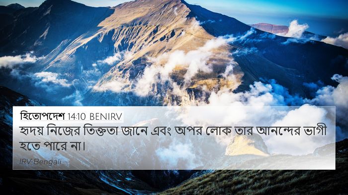 হিতোপদেশ 14:10 BENIRV Bible Verse Image