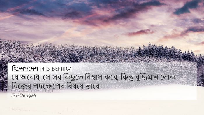হিতোপদেশ 14:15 BENIRV Bible Verse Image