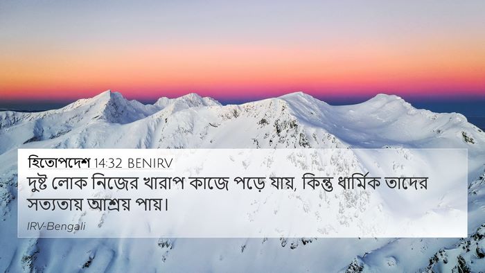 হিতোপদেশ 14:32 BENIRV Bible Verse Image