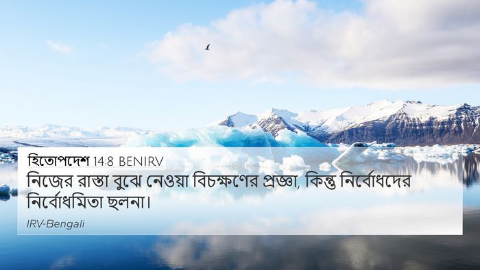 হিতোপদেশ 14:8 BENIRV Bible Verse Image