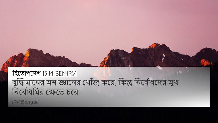 হিতোপদেশ 15:14 BENIRV Bible Verse Image