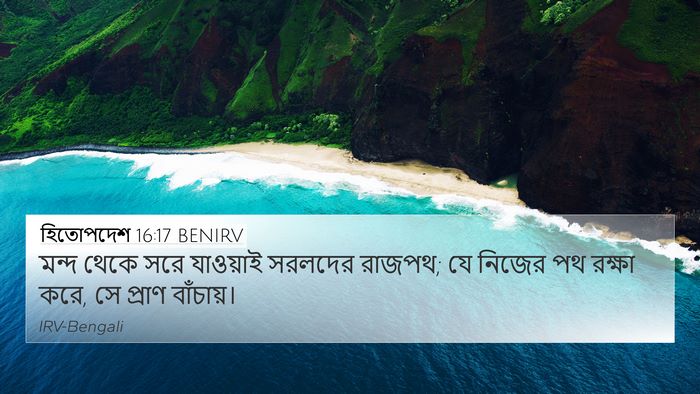 হিতোপদেশ 16:17 BENIRV Bible Verse Image