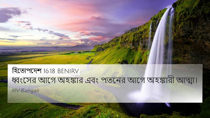 হিতোপদেশ 16:18 BENIRV Bible Verse Image