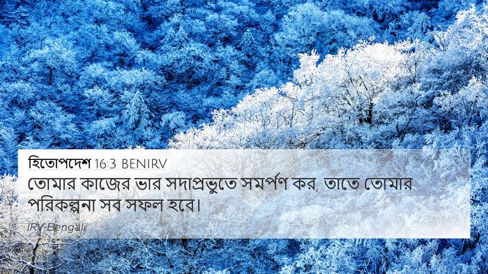 হিতোপদেশ 16:3 BENIRV Bible Verse Image