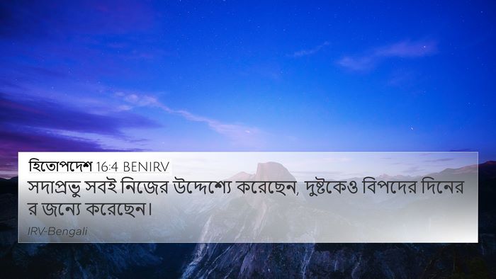 হিতোপদেশ 16:4 BENIRV Bible Verse Image