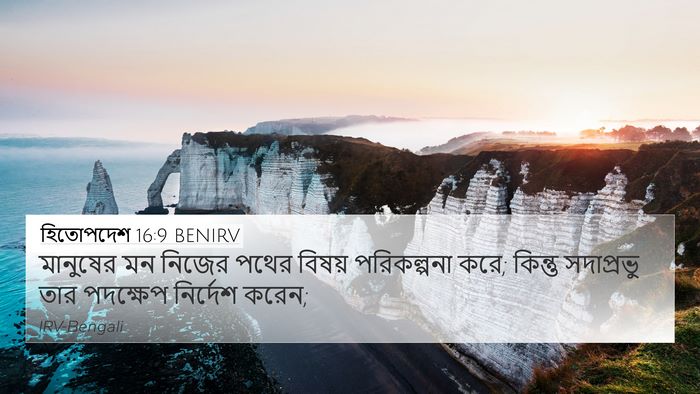হিতোপদেশ 16:9 BENIRV Bible Verse Image
