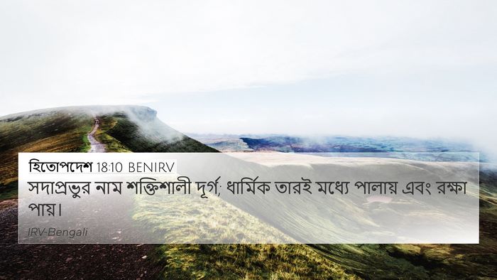 হিতোপদেশ 18:10 BENIRV Bible Verse Image