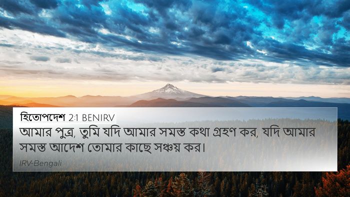 হিতোপদেশ 2:1 BENIRV Bible Verse Image