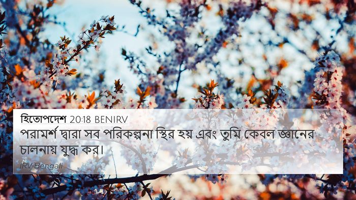 হিতোপদেশ 20:18 BENIRV Bible Verse Image
