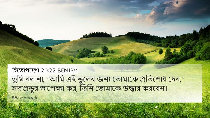 হিতোপদেশ 20:22 BENIRV Bible Verse Image