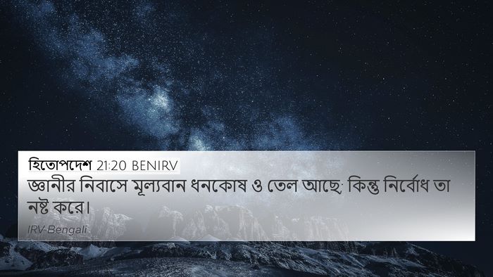 হিতোপদেশ 21:20 BENIRV Bible Verse Image